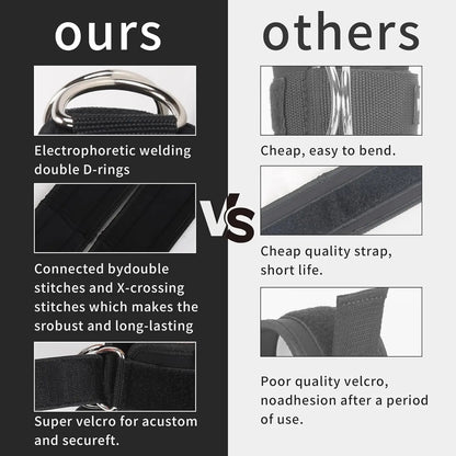 Resistance Training Belt